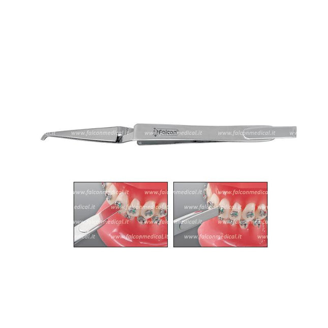 Brackettiatula